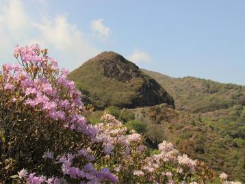 成都周边4日自驾游：邛海-马湖-大凉山赏索玛花4日自驾游