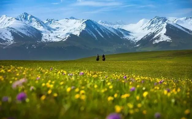 新疆乌鲁木齐集合11日北疆-西疆自驾：喀纳斯+禾木+可可托海+那拉提+独库公路+江布拉克+唐布拉百里画廊之旅