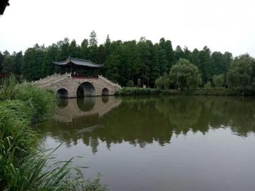 北京出发山东5日自驾游：李中水上森林-丹顶鹤湿地-竹泉村5日自驾游