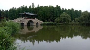 北京出发山东5日自驾游：李中水上森林-丹顶鹤湿地-竹泉村5日自驾游-推荐