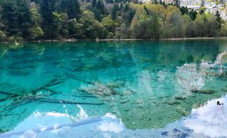 成都出發(fā)九寨4日自駕：九寨溝-甘海子-黃龍瑤池-松州古城4日自駕自駕游