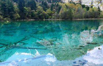 成都出發(fā)九寨4日自駕：九寨溝-甘海子-黃龍瑤池-松州古城4日自駕-游推薦