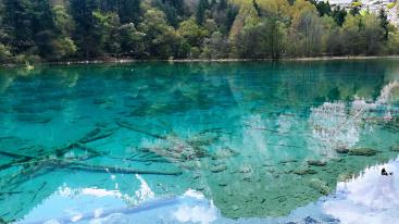 成都出发九寨4日自驾：九寨沟-甘海子-黄龙瑶池-松州古城4日自驾-推荐