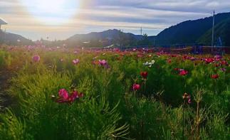 北京出发内蒙3日自驾游：美林谷-蒙古王城-沙地小镇3日自驾游自驾游