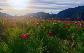 北京出发内蒙3日自驾游：美林谷-蒙古王城-沙地小镇3日自驾游-游推荐