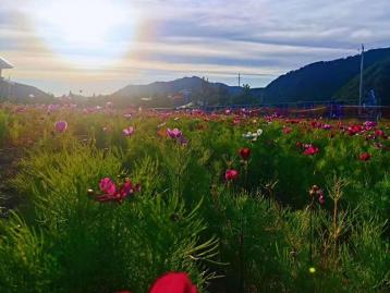 北京出发内蒙3日自驾游：美林谷-蒙古王城-沙地小镇3日自驾游