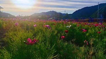 北京出发内蒙3日自驾游：美林谷-蒙古王城-沙地小镇3日自驾游-推荐