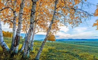 山東出發(fā)中蒙俄朝邊境22日自駕游：烏拉蓋-阿爾山-北極-滿洲里-漠河-穿越兩極英雄會22日自駕游自駕游