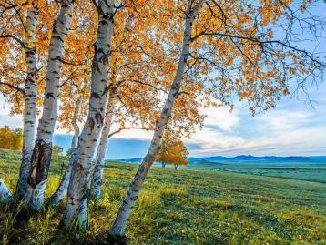 山東出發(fā)中蒙俄朝邊境22日自駕游：烏拉蓋-阿爾山-北極-滿洲里-漠河-穿越兩極英雄會22日自駕游