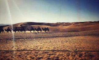 北京出发宁夏8日自驾游：成吉思汗故里-水洞沟-西部影视城-沙坡头8日自驾游自驾游