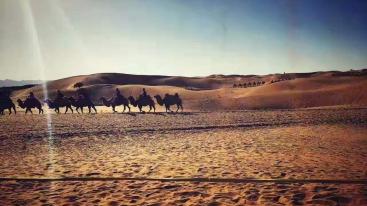 北京出发宁夏8日自驾游：成吉思汗故里-水洞沟-西部影视城-沙坡头8日自驾游-推荐