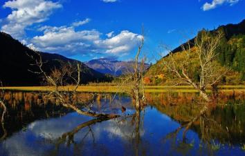 全國出發(fā)甘南九寨自駕9日：拉卜楞寺-郎木寺-扎尕那-?？撇菰?九寨溝9日川北甘南自駕游-游推薦