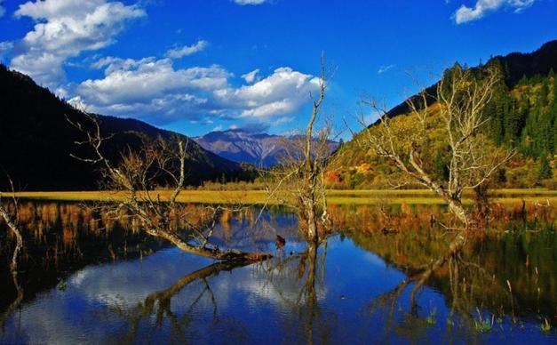 全国出发甘南九寨自驾9日：拉卜楞寺-郎木寺-扎尕那-桑科草原-九寨沟9日川北甘南自驾游