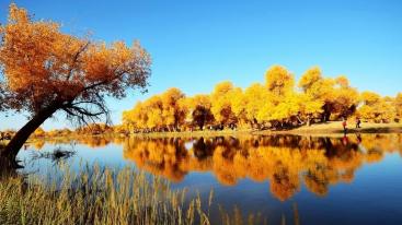 山东出发2020额济纳胡杨林7日国庆自驾游：额济纳黑水城-怪树林-巴丹吉林-张掖丹霞-沙坡头7日游-推荐