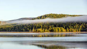 全国出发呼伦贝尔8日自驾：额尔古纳-室韦-莫尔道嘎-边境卡线-阿尔山8日落地租车自驾-推荐