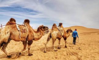 重庆到鄂尔多斯7日自驾游：响沙湾-壶口瀑布-南泥湾-沿黄公路-苏泊罕大草原7日西北风土人情自驾游自驾游