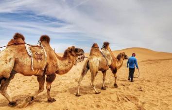 重庆到鄂尔多斯7日自驾游：响沙湾-壶口瀑布-南泥湾-沿黄公路-苏泊罕大草原7日西北风土人情自驾游-游推荐