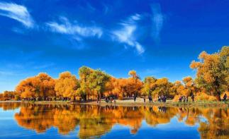 重慶到額濟(jì)納旗8日自駕游：胡楊林-怪樹林-居延海-張掖七彩丹霞-驪靬古城8日自駕游自駕游