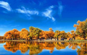 重庆到额济纳旗8日自驾游：胡杨林-怪树林-居延海-张掖七彩丹霞-骊靬古城8日自驾游-游推荐