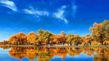 重庆到额济纳旗8日自驾游：胡杨林-怪树林-居延海-张掖七彩丹霞-骊靬古城8日自驾游-推荐