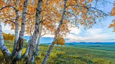 山东出发自驾内蒙最美秋色自驾公路6日游：热阿线-黄岗梁-阿斯哈图石林-塞罕坝-乌兰布通草原6日自驾游-推荐