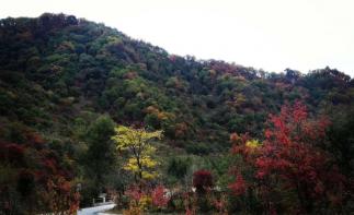 北京出发东北5日自驾游：鸭绿江-老边沟-本恒公路-虎山长城5日自驾游自驾游