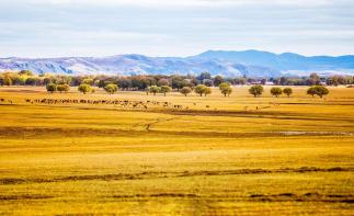山东出发自驾河北张家口草原天路3日：自驾红井天路-草原天路-四十里峡穿越3日游自驾游