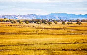 山东出发自驾河北张家口草原天路3日：自驾红井天路-草原天路-四十里峡穿越3日游-游推荐