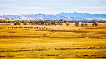 山东出发自驾河北张家口草原天路3日：自驾红井天路-草原天路-四十里峡穿越3日游-推荐
