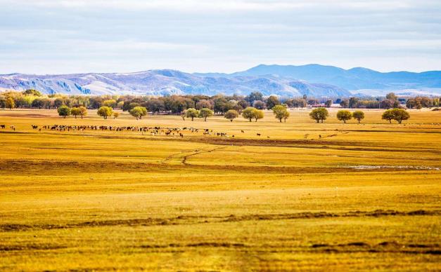 山东出发自驾河北张家口草原天路3日：自驾红井天路-草原天路-四十里峡穿越3日游