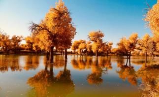 烏魯木齊集結(jié)金秋南疆10日自駕：塔里木胡楊林-網(wǎng)紅盤龍古道-喀什古城-帕米爾高原-沙漠公路-塔莎古道自駕游