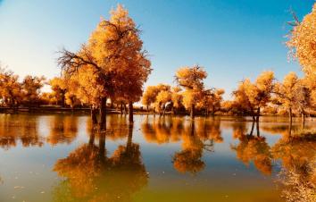 乌鲁木齐集结金秋南疆10日自驾：塔里木胡杨林-网红盘龙古道-喀什古城-帕米尔高原-沙漠公路-塔莎古道-游推荐