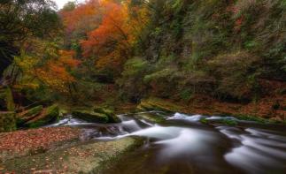 成都出發(fā)漢中2.5日自駕：黎坪紅葉-漢中興漢勝境-天漢傳奇演出2.5日自駕自駕游