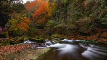 成都出发汉中2.5日自驾：黎坪红叶-汉中兴汉胜境-天汉传奇演出2.5日自驾-推荐
