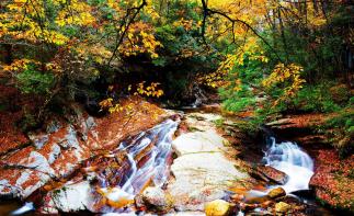 成都周边2.5日休闲自驾游：醉美金秋-光雾山桃园-十八月谭2.5日自驾之旅自驾游