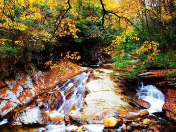 成都周边2.5日休闲自驾游：醉美金秋-光雾山桃园-十八月谭2.5日自驾之旅