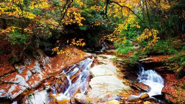 成都周边2.5日休闲自驾游：醉美金秋-光雾山桃园-十八月谭2.5日自驾之旅-推荐