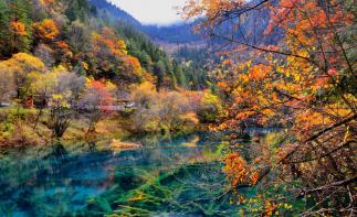 成都出发川西7日落地自驾：九寨沟-黄龙-达古冰川-羊绒哈德-毕棚沟-古尔沟7日自驾游自驾游