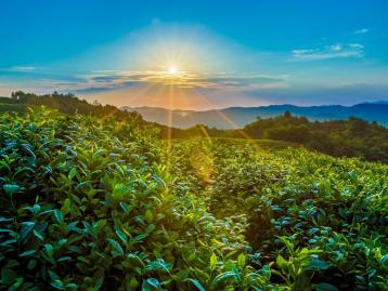 成都出发云南滇中7日自驾：翁丁佤寨-鲁史古镇-冰岛普洱皇后-云南特色美食7日自驾游