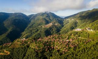 昆明集合云南8日落地自驾：无量樱花-腾冲银杏-诺邓古村-南涧土林8日自驾自驾游