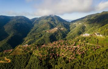 昆明集合云南8日落地自駕：無(wú)量櫻花-騰沖銀杏-諾鄧古村-南澗土林8日自駕-游推薦