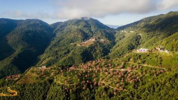 昆明集合云南8日落地自驾：无量樱花-腾冲银杏-诺邓古村-南涧土林8日自驾-推荐