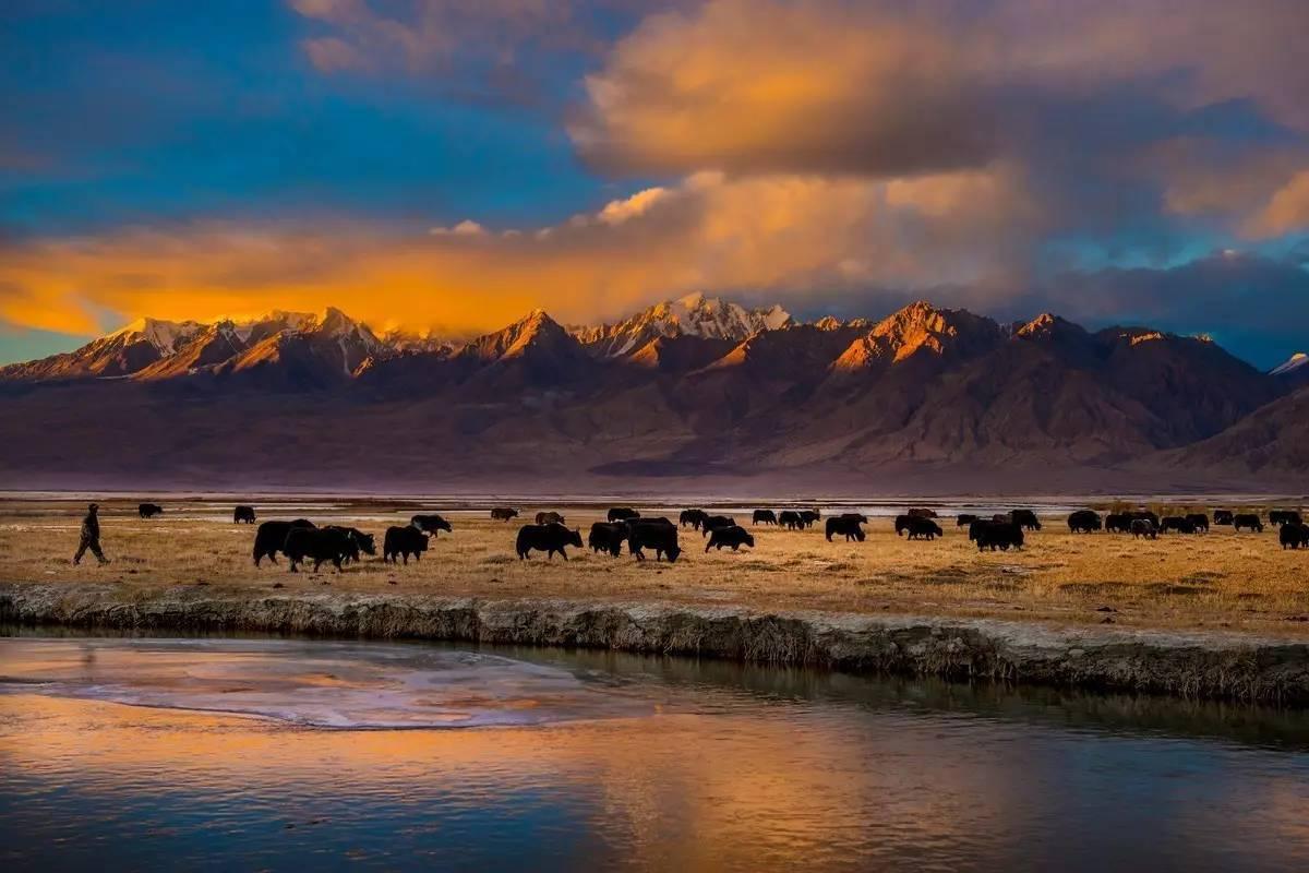 喀什起止南疆环线：喀什+泽普金胡杨+帕米尔+塔莎古道+N39基地+塔什库尔干6日拼包车游自驾游