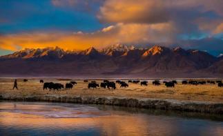 喀什起止南疆環(huán)線：喀什+澤普金胡楊+帕米爾+塔莎古道+N39基地+塔什庫(kù)爾干6日拼包車(chē)游自駕游