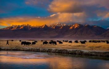 喀什起止南疆环线：喀什+泽普金胡杨+帕米尔+塔莎古道+N39基地+塔什库尔干6日拼包车游-游推荐