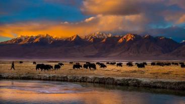 喀什起止南疆环线：喀什+泽普金胡杨+帕米尔+塔莎古道+N39基地+塔什库尔干6日拼包车游-推荐