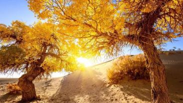 乌鲁木齐集合新疆南疆7日自驾游：库尔勒-温宿-和田-喀什-帕米尔高原-塔县7日自驾游-推荐