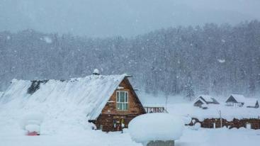 雪都阿勒泰起止北疆滑雪5日落地自驾：喀纳斯—禾木—五彩滩—冲乎尔雾凇—将军山5日自驾：-推荐