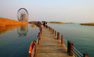 山東出發(fā)自駕江蘇5日游：水上七彩衫林·-溧陽1號彩虹公路-太湖東西山島-錫惠古鎮(zhèn)-蘇北沿海濕地休閑5自駕游