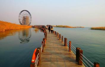 山东出发自驾江苏5日游：水上七彩衫林·-溧阳1号彩虹公路-太湖东西山岛-锡惠古镇-苏北沿海湿地休闲5-游推荐